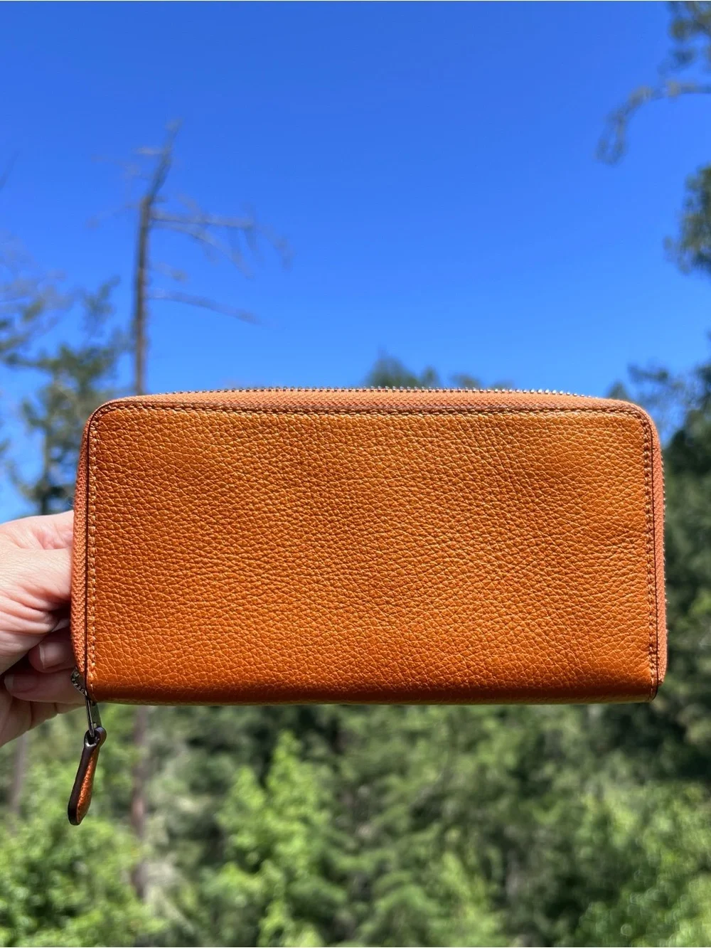 COACH Long Zip-Around Orange Papaya Pebble Leather Wallet with Silver Hardware